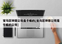 宝马区块链公司是干嘛的[宝马区块链公司是干嘛的公司]